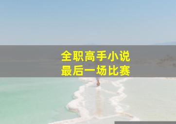 全职高手小说最后一场比赛