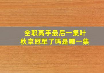 全职高手最后一集叶秋拿冠军了吗是哪一集