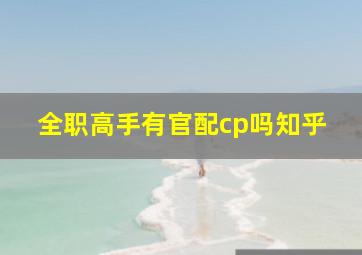 全职高手有官配cp吗知乎