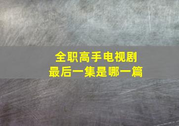 全职高手电视剧最后一集是哪一篇