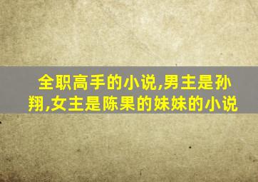 全职高手的小说,男主是孙翔,女主是陈果的妹妹的小说