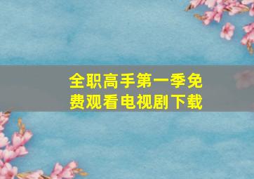 全职高手第一季免费观看电视剧下载