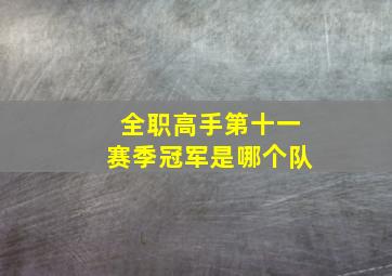 全职高手第十一赛季冠军是哪个队