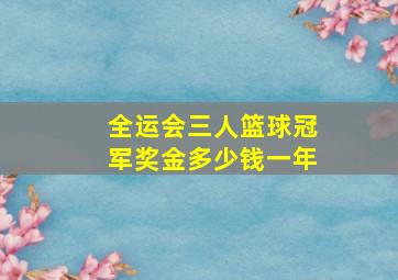 全运会三人篮球冠军奖金多少钱一年