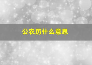 公农历什么意思