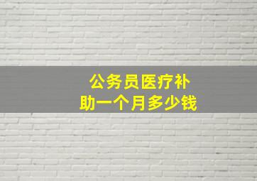 公务员医疗补助一个月多少钱