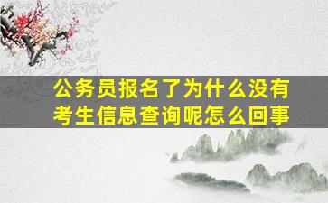 公务员报名了为什么没有考生信息查询呢怎么回事