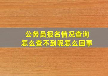 公务员报名情况查询怎么查不到呢怎么回事