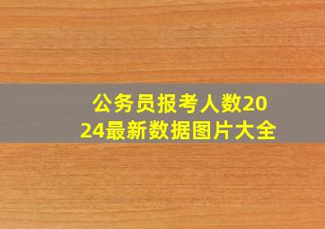 公务员报考人数2024最新数据图片大全