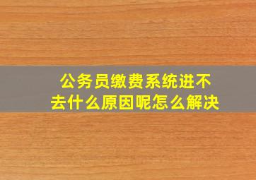 公务员缴费系统进不去什么原因呢怎么解决