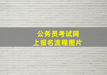 公务员考试网上报名流程图片