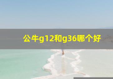 公牛g12和g36哪个好