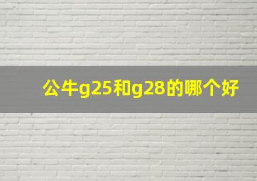 公牛g25和g28的哪个好