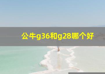 公牛g36和g28哪个好