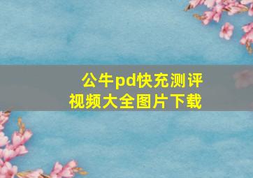 公牛pd快充测评视频大全图片下载