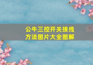 公牛三控开关接线方法图片大全图解