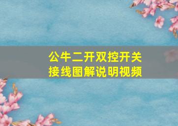 公牛二开双控开关接线图解说明视频