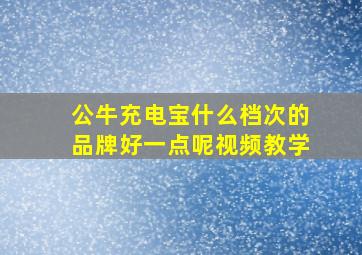 公牛充电宝什么档次的品牌好一点呢视频教学