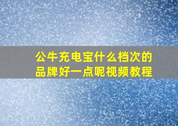 公牛充电宝什么档次的品牌好一点呢视频教程