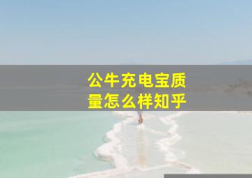 公牛充电宝质量怎么样知乎