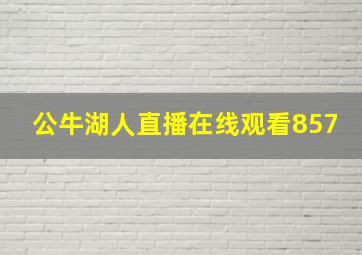 公牛湖人直播在线观看857