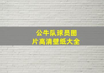 公牛队球员图片高清壁纸大全