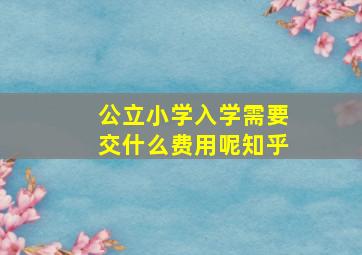 公立小学入学需要交什么费用呢知乎