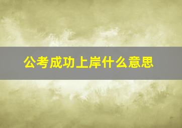 公考成功上岸什么意思