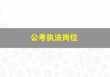 公考执法岗位