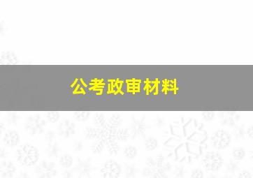 公考政审材料