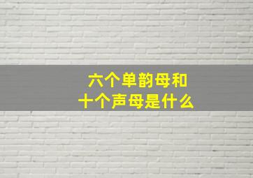 六个单韵母和十个声母是什么