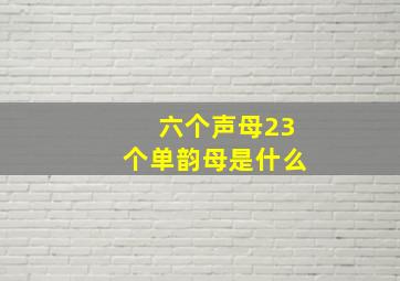 六个声母23个单韵母是什么