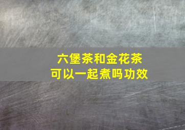 六堡茶和金花茶可以一起煮吗功效