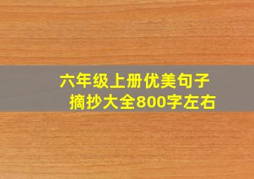 六年级上册优美句子摘抄大全800字左右