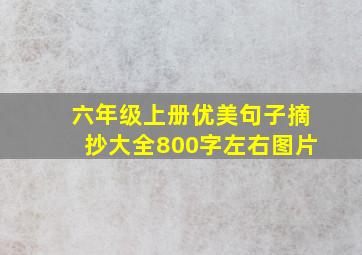 六年级上册优美句子摘抄大全800字左右图片