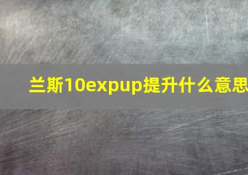 兰斯10expup提升什么意思