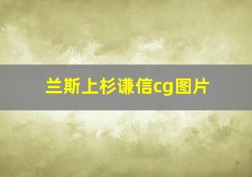 兰斯上杉谦信cg图片