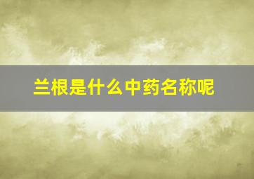 兰根是什么中药名称呢