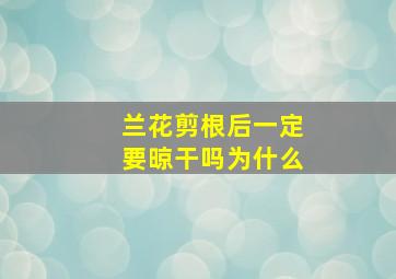 兰花剪根后一定要晾干吗为什么