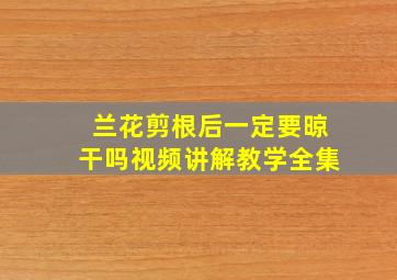 兰花剪根后一定要晾干吗视频讲解教学全集