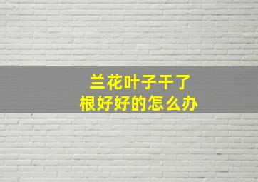 兰花叶子干了根好好的怎么办