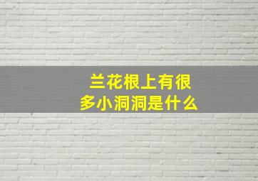 兰花根上有很多小洞洞是什么