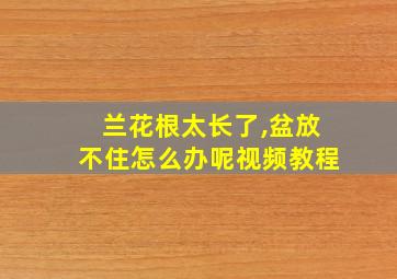 兰花根太长了,盆放不住怎么办呢视频教程