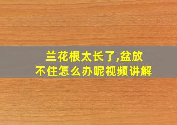 兰花根太长了,盆放不住怎么办呢视频讲解