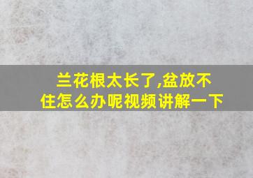 兰花根太长了,盆放不住怎么办呢视频讲解一下