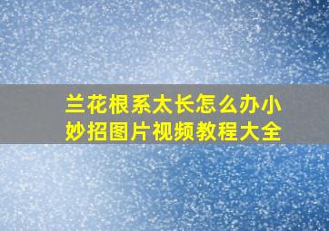 兰花根系太长怎么办小妙招图片视频教程大全