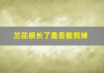 兰花根长了是否能剪掉