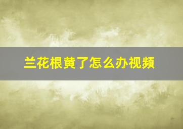 兰花根黄了怎么办视频