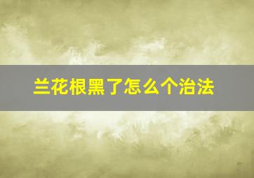 兰花根黑了怎么个治法