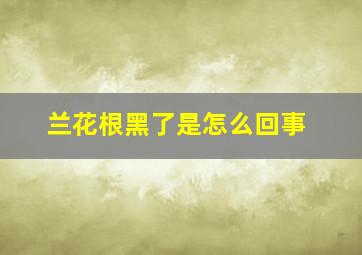 兰花根黑了是怎么回事